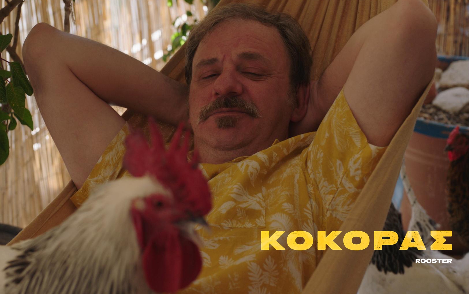 540760224-122172782498566949-6659591704209020073-n