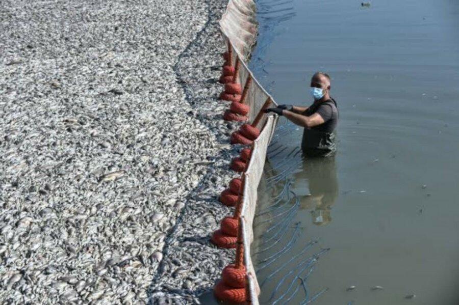 images-6-copy-1280x852