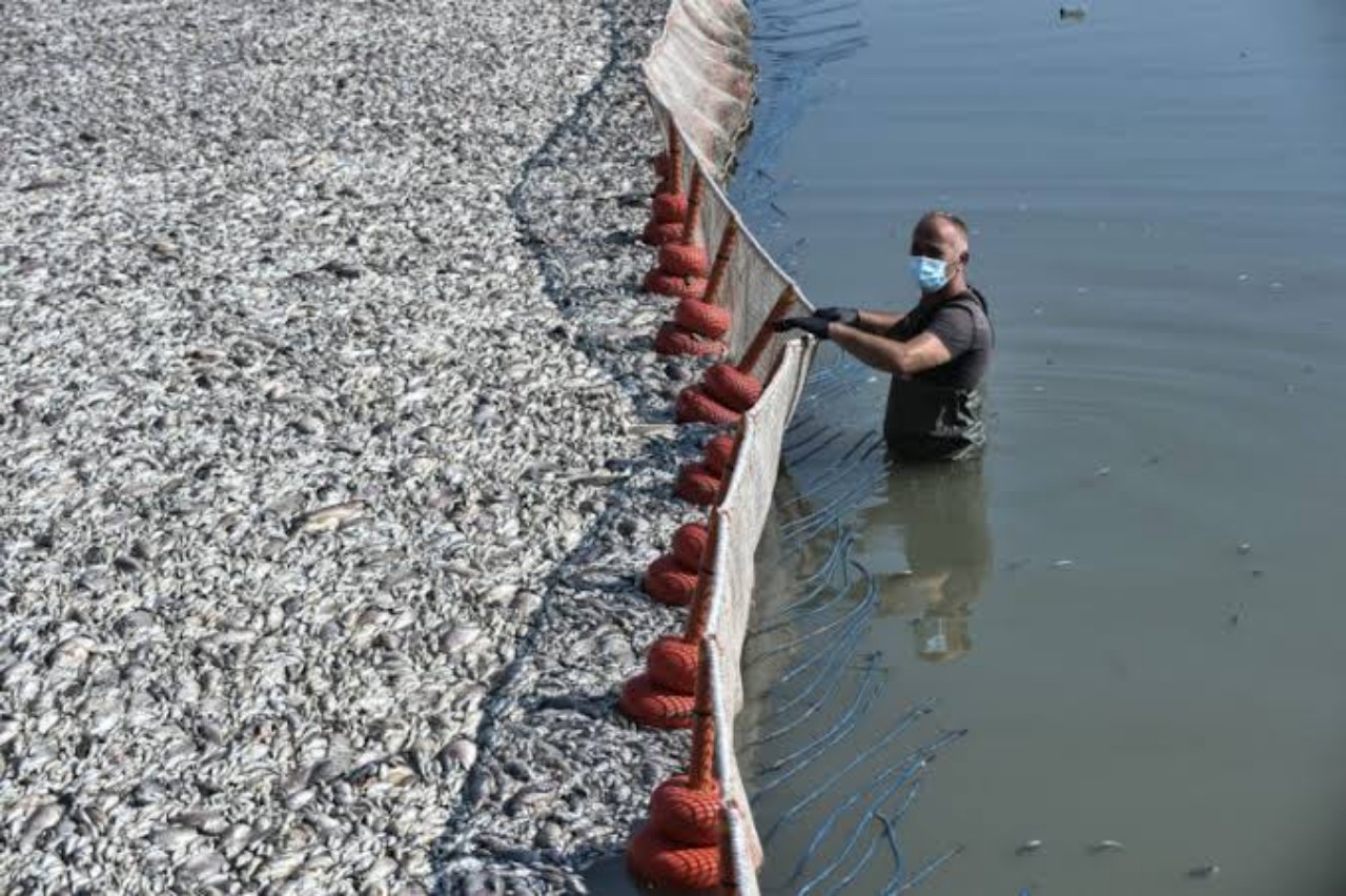 images-6-copy-1280x852