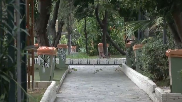 Μοσχάτο: Η δράση της «συμμορίας 183» που είχε σπείρει τον τρόμο σε ανήλικους - Τα μηνύματα που έστελναν στο θύμα