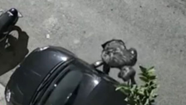 Επαγγελματική κλοπή αυτοκινήτου στο Περιστέρι μέσα σε 90 δευτερόλεπτα