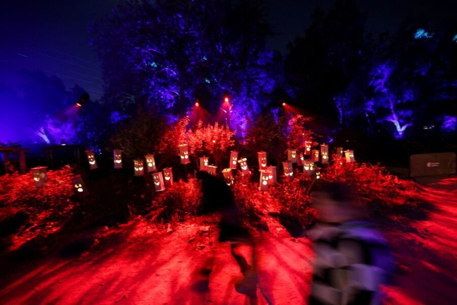 Η «εφιαλτική γλυκύτητα» του φετινού Halloween: Τα σοκολατάκια και τα γλυκά παραμένουν ακριβά λόγω πληθωριστικών πιέσεων