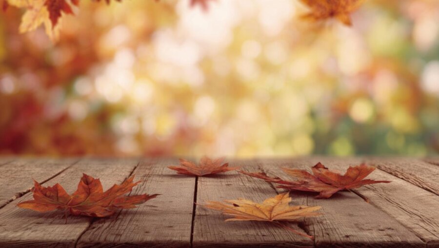 Τα 4 ζώδια που θα περάσουν τον καλύτερο Νοέμβριο