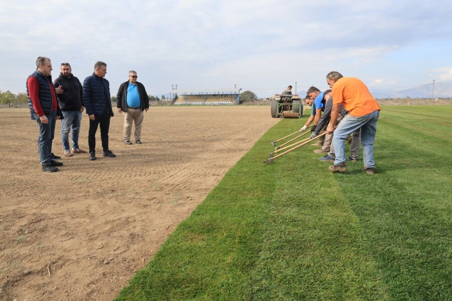 erga-gipedo-falanis-4