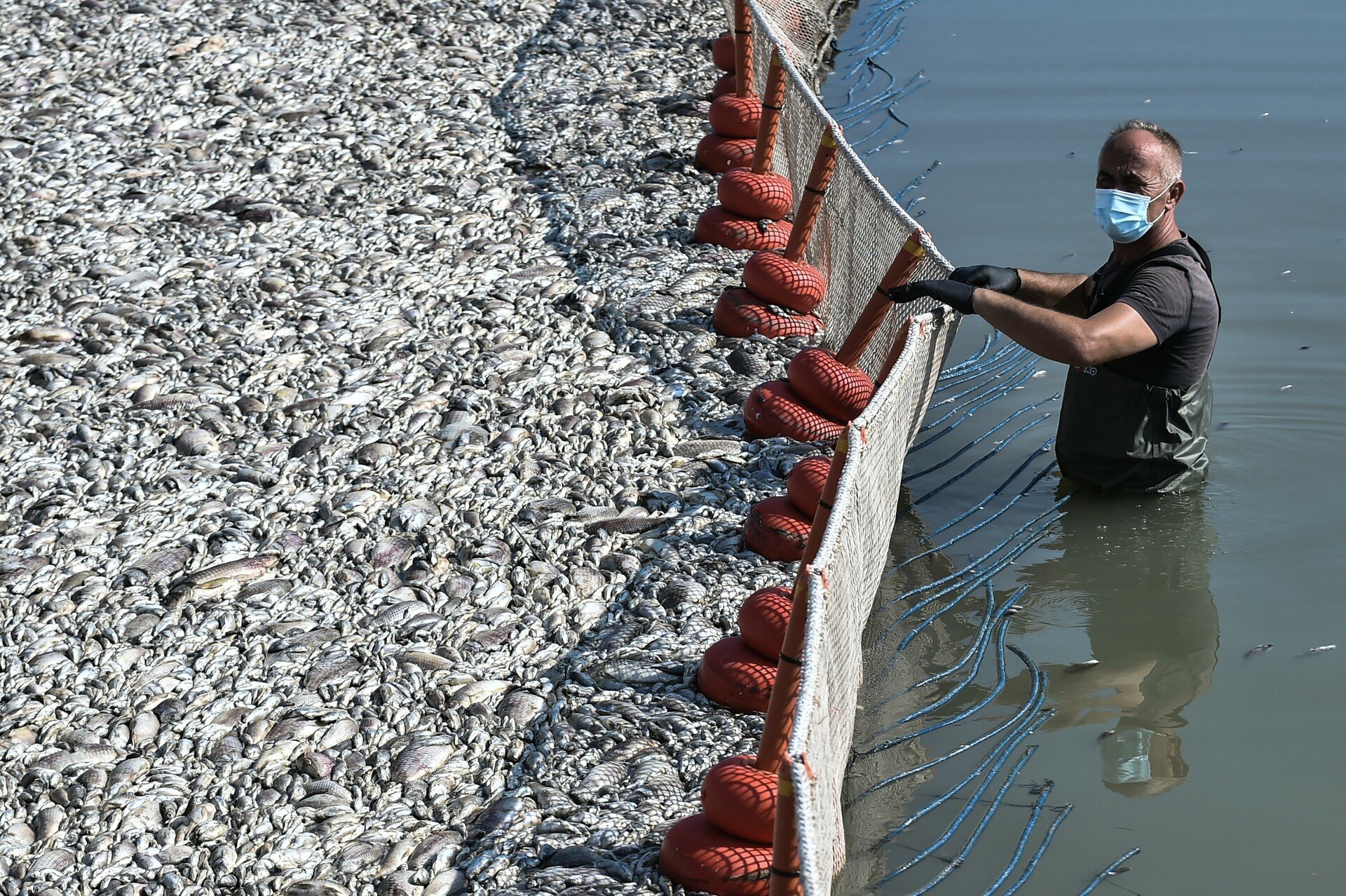 nekra-psaria-volos-0