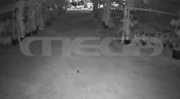 Φοινικούντα: Ηχητικό ντοκουμέντο για τη διπλή δολοφονία – Οι έξι βολές μέσα σε 11”