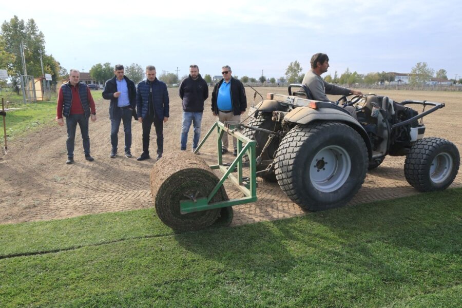 erga-gipedo-falanis-3