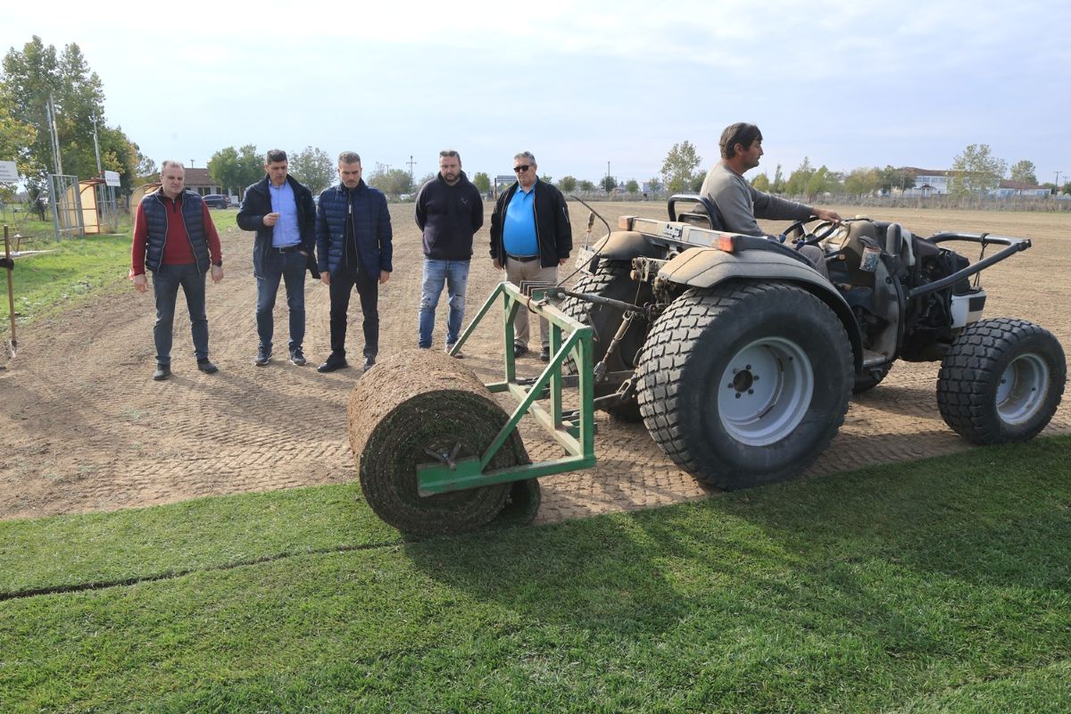 erga-gipedo-falanis-3