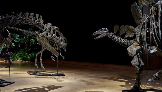 Η Βρετανία κατάσχεσε σπάνια οστά δεινοσαύρων από επιχειρηματία