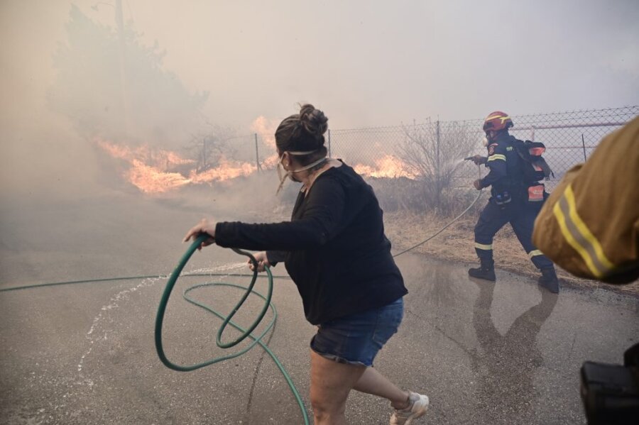 Φωτιά σε δάσος