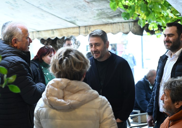 Ο Νίκος Ανδρουλάκης