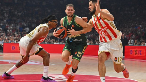 Cuteness overload: Γιατί μας «τραβάει» το χαριτωμένο;