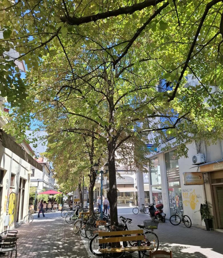 emporikos-syllogow-karditsas-anaplaseis