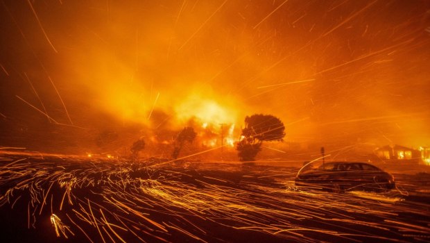 «Οπλα» από τη φύση ως προστασία για τη Μεσόγειο