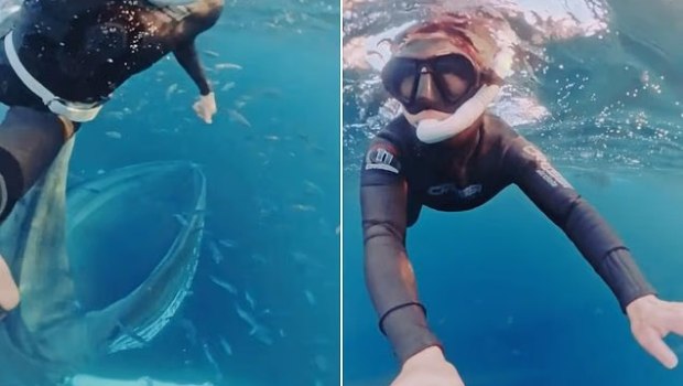 Νορβηγία: Θρίλερ σε παγωμένα νερά: Δύτρια γλιτώνει παρά τρίχα από επίθεση φάλαινας