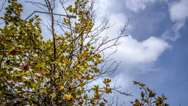 Καιρός: Άνοδος της θερμοκρασίας την Πέμπτη - Πού θα βρέξει