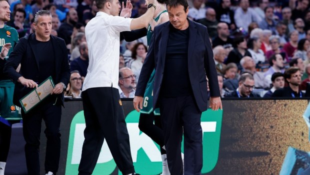 Νευρικό σύστημα: Από τις «πληγές» στη σοφία