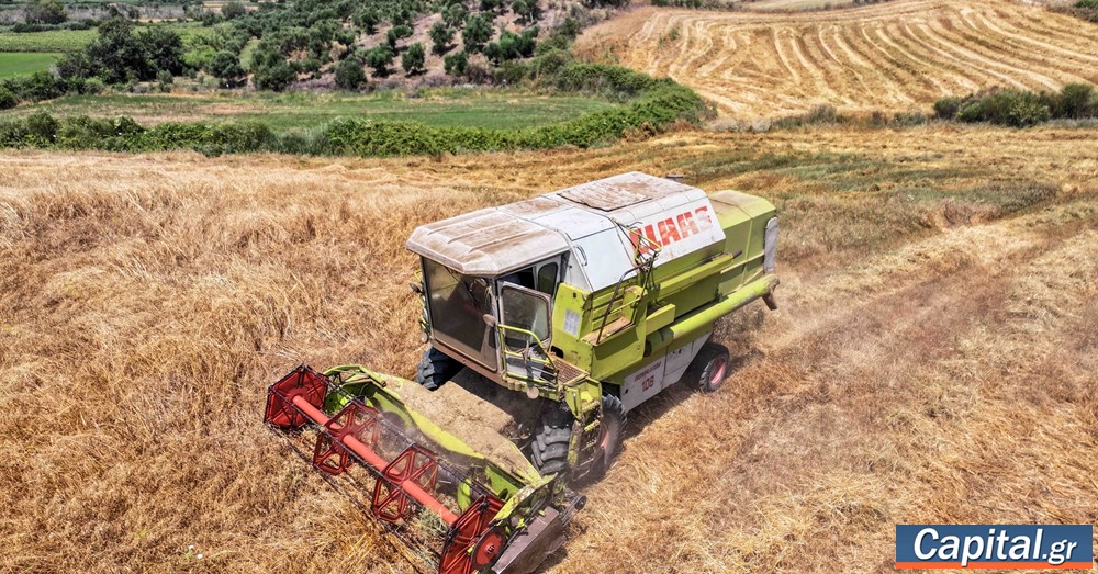 Νέα μείωση 4,2% των τιμών εκροών σε Γεωργία