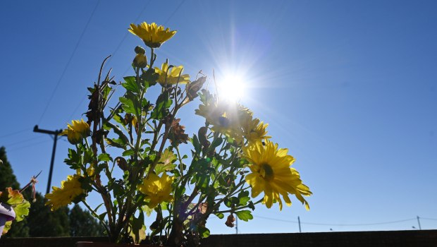 Καιρός: Έως τους 23 βαθμούς η θερμοκρασία το Σάββατο - Έρχεται αφρικανική σκόνη από την Κυριακή