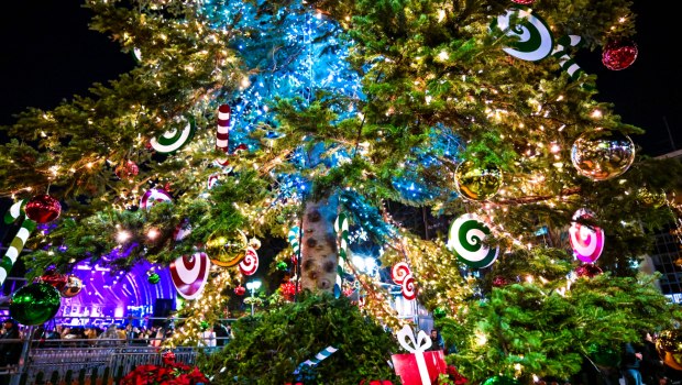 Πότε θα φωταγωγηθεί το χριστουγεννιάτικο δέντρο του Συντάγματος