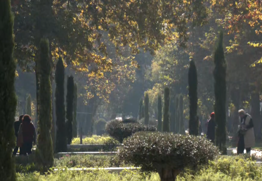 stigmiotypo-othonis-2025-11-16-142502