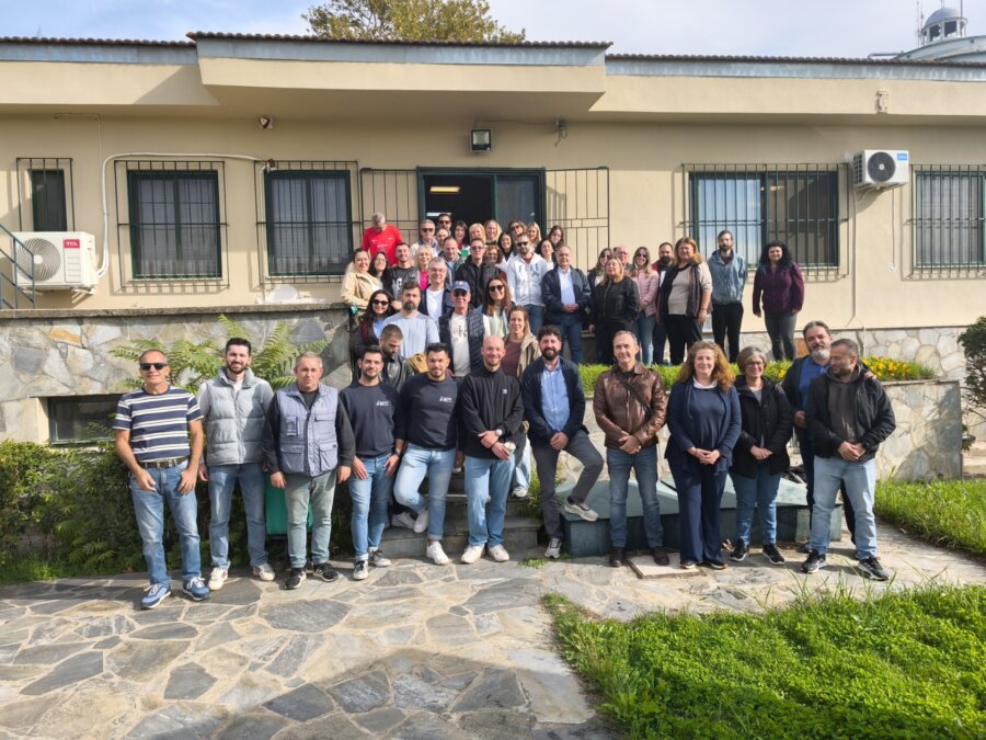 deyal-deigmatolipsies