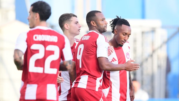 Μακροζωία και νεότητα: Κρύβονται στο ανοσοποιητικό μας;