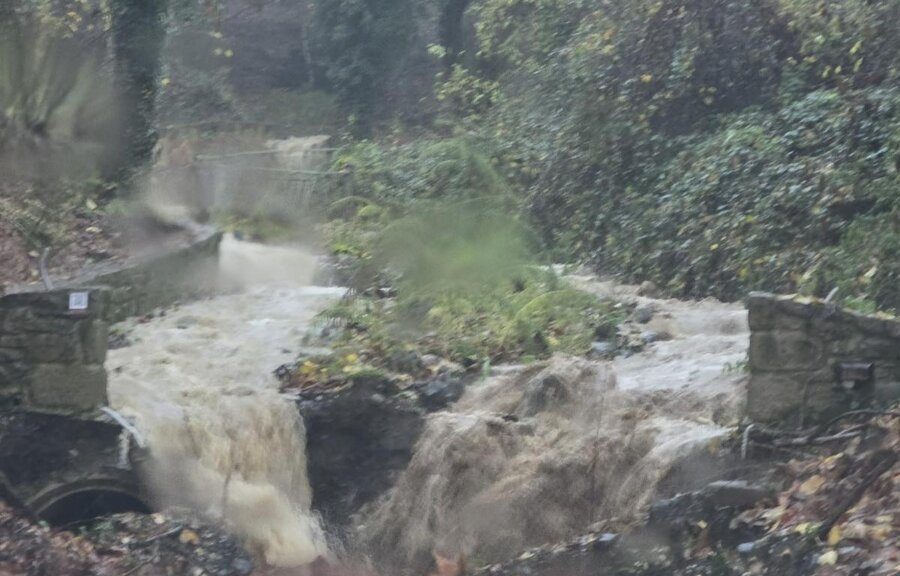 kastania-kalampaka-vroxi1