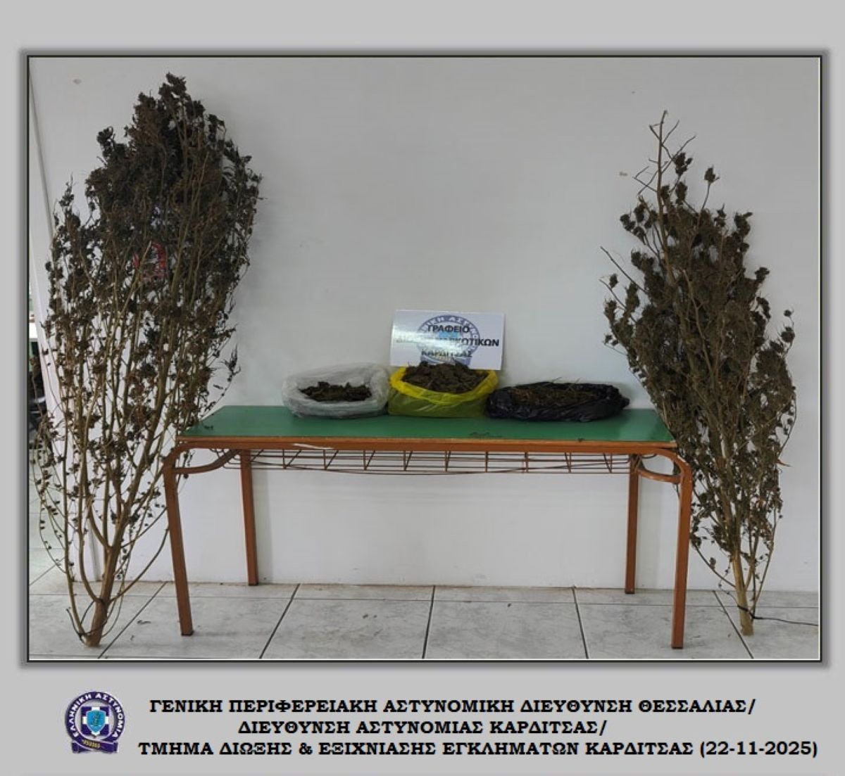 karditsa-palamas-narkotika