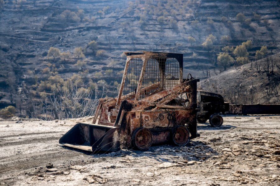 Ελεγκτικό Συνέδριο: Οι «κίτρινες κάρτες» για τις αναδασώσεις - Οι ενστάσεις και η φετινή αντιπυρική περίοδος