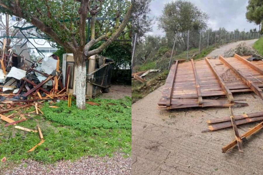 εικόνα που δείχνει φυλικά που έχουν καταλήξει σε αυλές και πεσμένους φράκτες από την κακοκαιρία Adel που χτύπησε τη Μεσσηνία