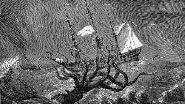 Τα «Κράκεν» της Μυκόνου: Δύο καλαμάρια - γίγαντες 17 κιλών βγήκαν στον Ορνό