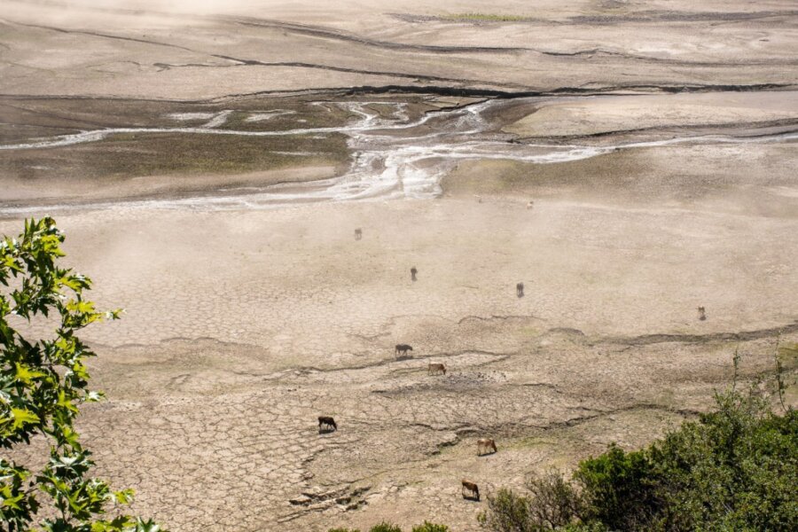 Σε κατάσταση έκτακτης ανάγκης λόγω λειψυδρίας η Αττική - Σκεπτικοί οι επιστήμονες για τα fast track έργα