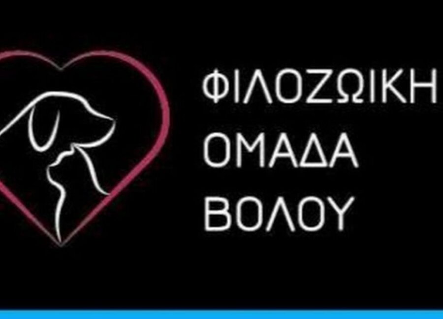 filozoiki-omada-volou