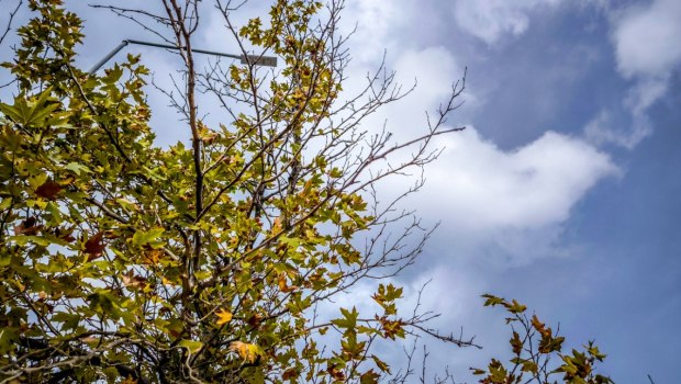 Καιρός: Γενικά αίθριος στο μεγαλύτερο μέρος της χώρας - Πού θα βρέξει