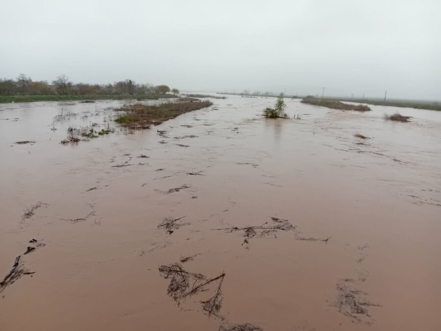 591267994-786227917828862-2715397102844249745-n