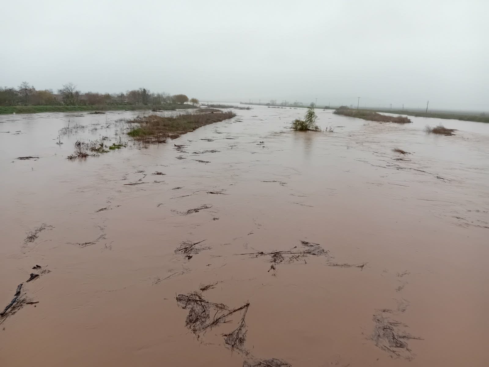 591267994-786227917828862-2715397102844249745-n