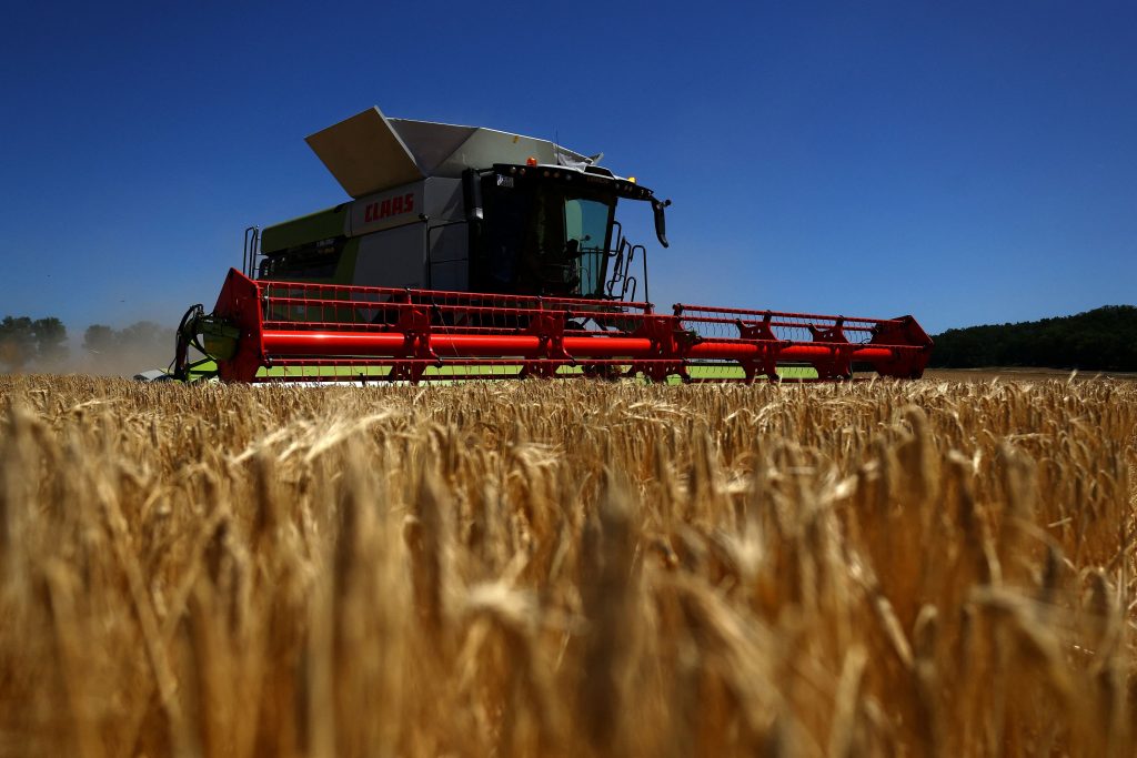 FAO: Τέσσερις καθοριστικές διαδρομές για τη μεταμόρφωση των αγροδιατροφικών συστημάτων