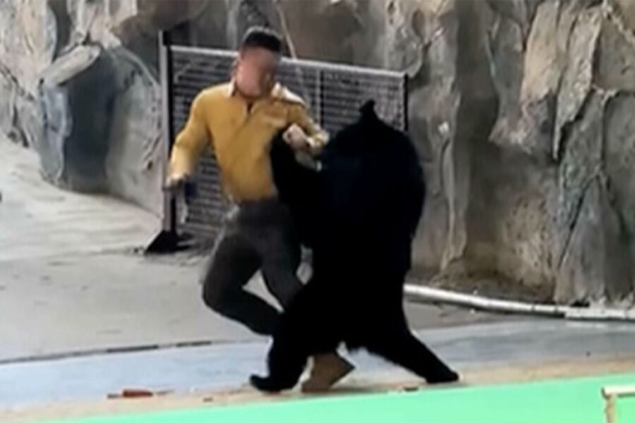 Αγρια επίθεση αρκούδας στον εκπαιδευτή της: Βίντεο καταγράφει την απίστευτη μάχη