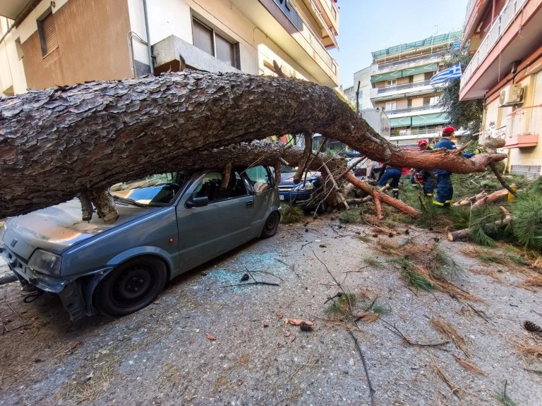 Θεσσαλονίκη: Πτώση μεγάλου δένδρου στη Χαριλάου – Καταπλάκωσε σταθμευμένα αυτοκίνητα