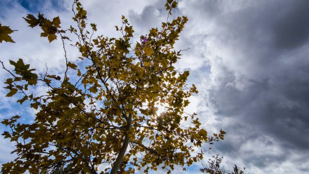 Καιρός: Μικρή πτώση της θερμοκρασίας το Σάββατο και τοπικές βροχές