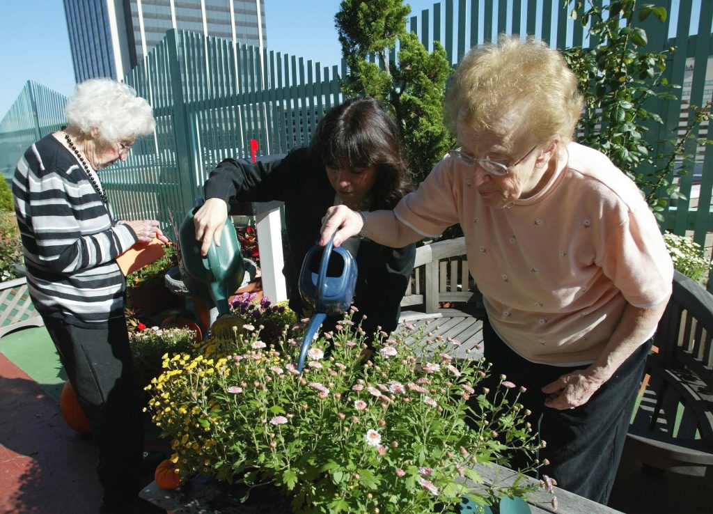 Ηλικιωμένες γυναίκες σε κήπο