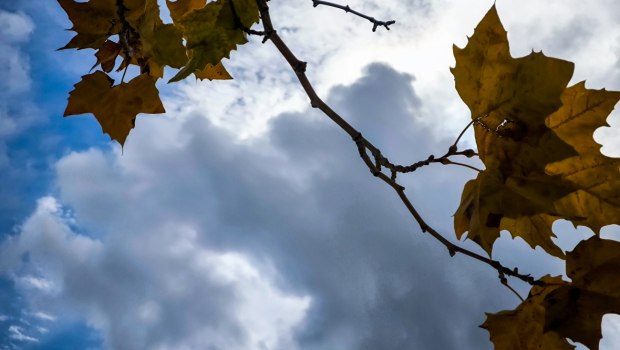 Συννεφιασμένος ο καιρός με ασθενείς βροχές σε 3 περιοχές - Έως 20 βαθμούς η θερμοκρασία