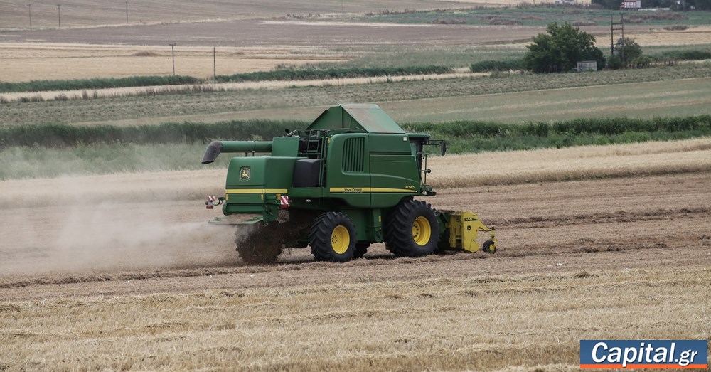 Νέα μείωση 5,5% των τιμών εκροών σε γεωργία – κτηνοτροφία τον Οκτώβριο