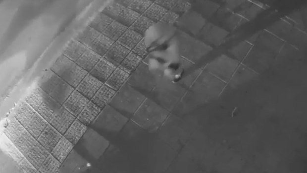 «Οι αστυνομικοί χτύπησαν τα παιδιά» - Τι καταγγέλλει μητέρα 15χρονου που ήταν στο ΙΧ που οδηγούσε ο γιος του Μ. Κατρίνη