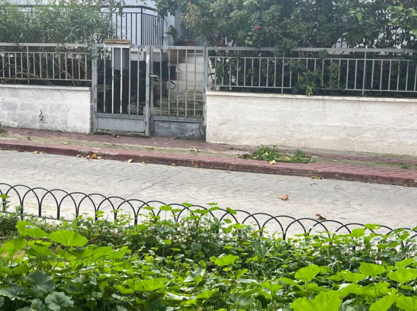 «Έξι του μήνα έχεις 200 ευρώ να φέρεις» - Οι αποκαλυπτικοί διάλογοι που «καίνε» το κύκλωμα ναρκωτικών σε σχολεία