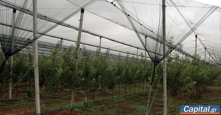 Πληρωμές 35,1 εκατ. ευρώ για καταστροφές σε φυτικό κεφάλαιο από τον...