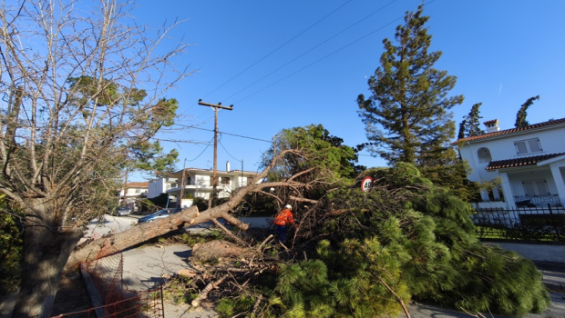 Κεντρική Μακεδονία: Σοβαρά προβλήματα από τους θυελλώδεις ανέμους