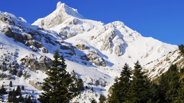 Βαρδούσια: Από ασφυξία ο θάνατος των τεσσάρων ορειβατών