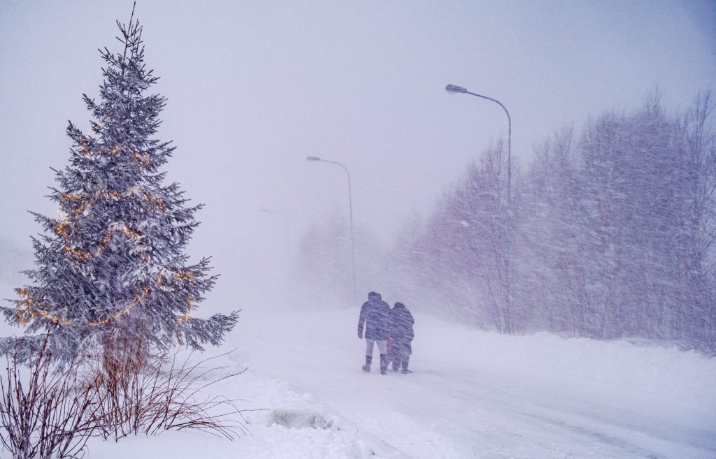 Χιονοθύελλα σε δέντρο
